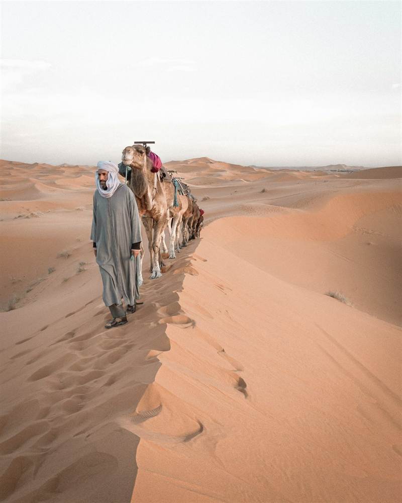 Caravana de camellos en Merzouga