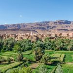 Tour de 4 Dias Desde Marrakech Al Desierto De Merzouga​