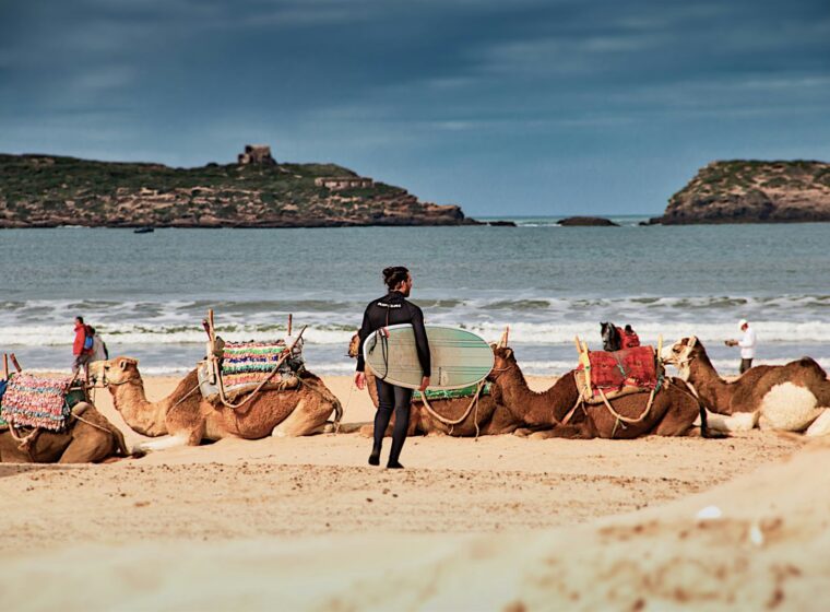 Essaouira playa camellos