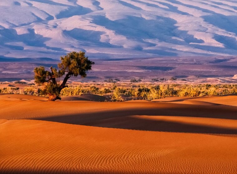 Zagora y el Valle del Draa